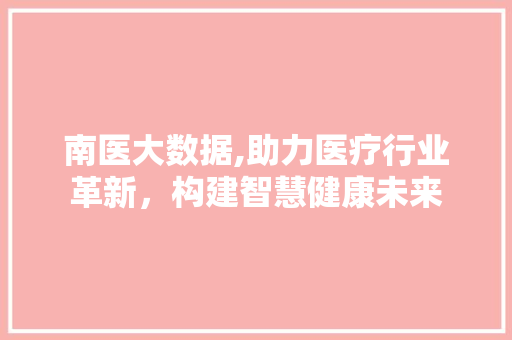 南医大数据,助力医疗行业革新，构建智慧健康未来
