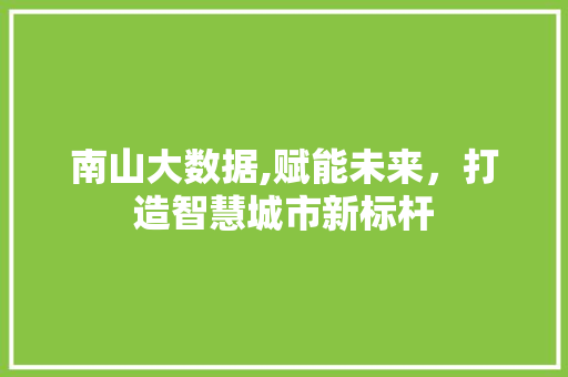 南山大数据,赋能未来，打造智慧城市新标杆