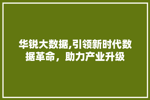 华锐大数据,引领新时代数据革命，助力产业升级