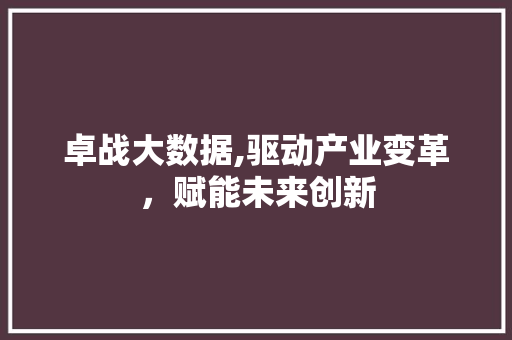 卓战大数据,驱动产业变革，赋能未来创新 网站建设公司