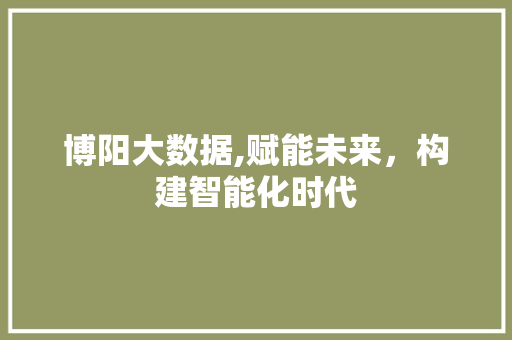 博阳大数据,赋能未来，构建智能化时代 SEO关键词