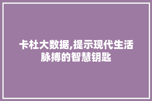 卡杜大数据,提示现代生活脉搏的智慧钥匙 网站建设公司