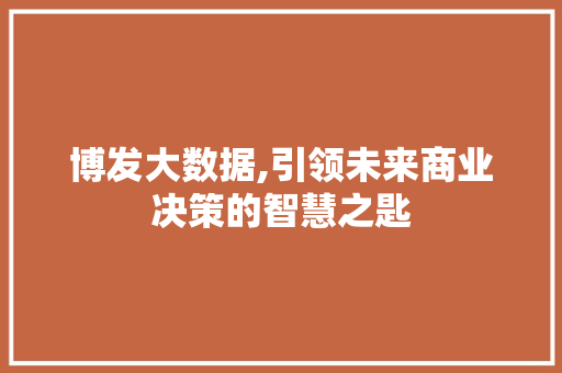 博发大数据,引领未来商业决策的智慧之匙
