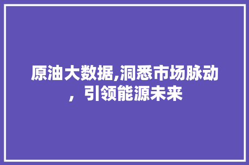 原油大数据,洞悉市场脉动，引领能源未来