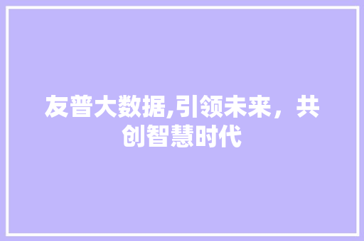 友普大数据,引领未来，共创智慧时代