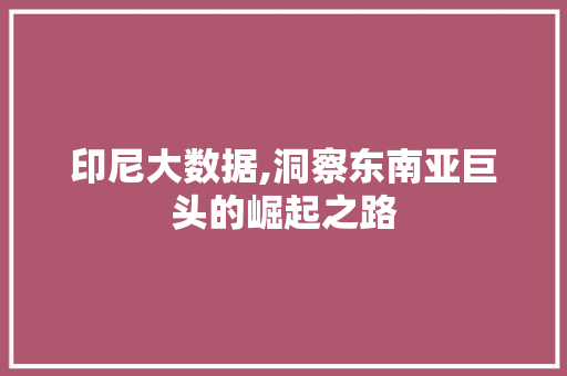 印尼大数据,洞察东南亚巨头的崛起之路 网站建设公司