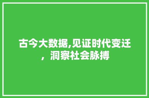 古今大数据,见证时代变迁，洞察社会脉搏 百度SEO