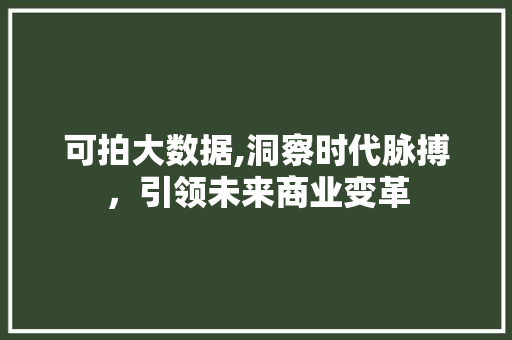 可拍大数据,洞察时代脉搏，引领未来商业变革