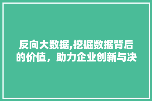 反向大数据,挖掘数据背后的价值，助力企业创新与决策