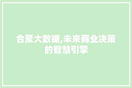 合聚大数据,未来商业决策的智慧引擎