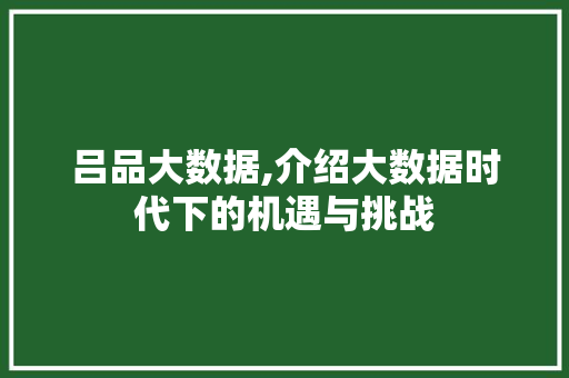 吕品大数据,介绍大数据时代下的机遇与挑战 搜狗SEO