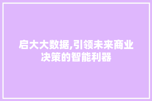 启大大数据,引领未来商业决策的智能利器