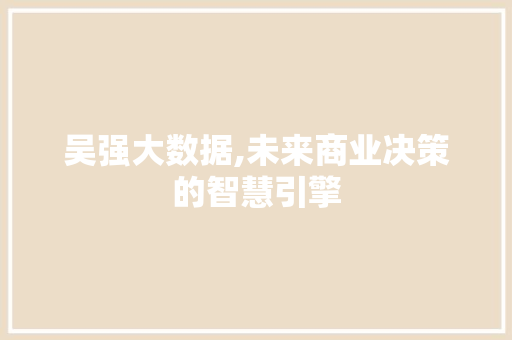 吴强大数据,未来商业决策的智慧引擎