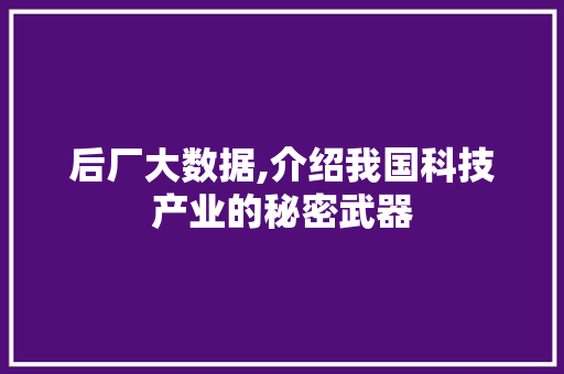后厂大数据,介绍我国科技产业的秘密武器 必应SEO