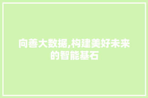 向善大数据,构建美好未来的智能基石 SEO关键词