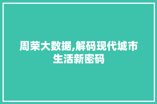周荣大数据,解码现代城市生活新密码 网站建设公司