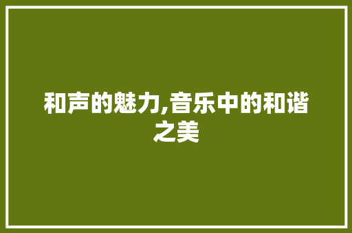 和声的魅力,音乐中的和谐之美 必应SEO