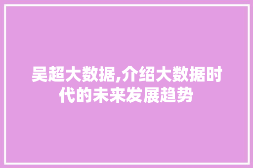 吴超大数据,介绍大数据时代的未来发展趋势 网站建设公司