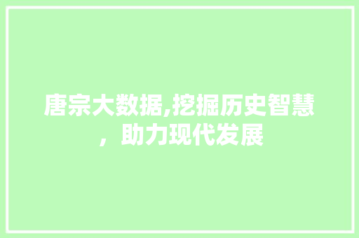 唐宗大数据,挖掘历史智慧，助力现代发展 百度SEO