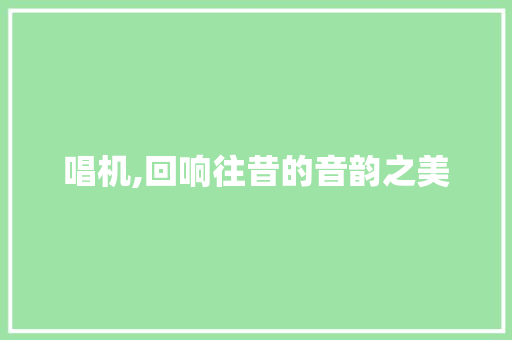 唱机,回响往昔的音韵之美 SEO关键词