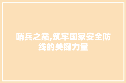 哨兵之巅,筑牢国家安全防线的关键力量 网站建设公司