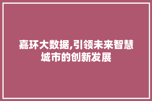 嘉环大数据,引领未来智慧城市的创新发展