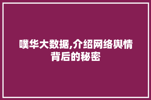 噗华大数据,介绍网络舆情背后的秘密 百度SEO