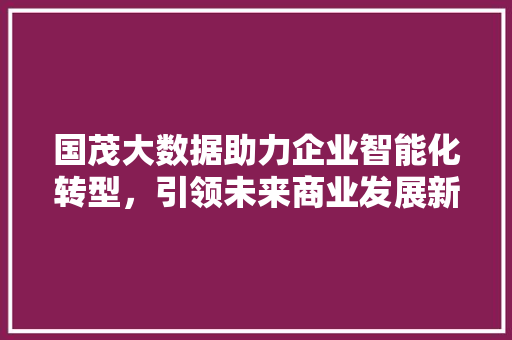 国茂大数据助力企业智能化转型，引领未来商业发展新潮流