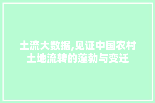 土流大数据,见证中国农村土地流转的蓬勃与变迁