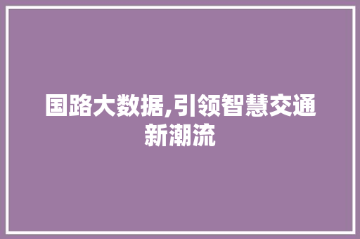 国路大数据,引领智慧交通新潮流