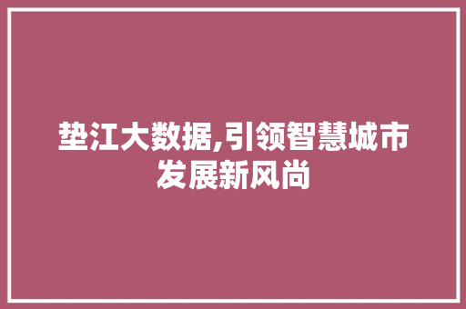 垫江大数据,引领智慧城市发展新风尚 百度SEO