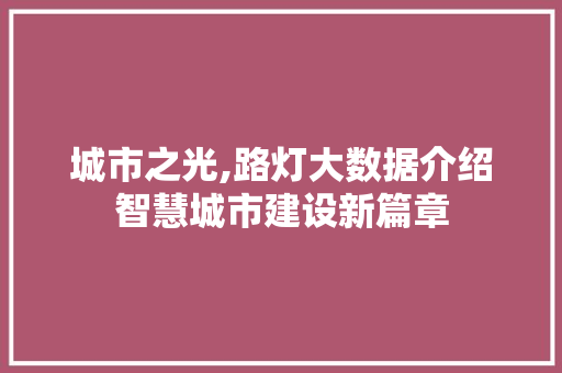 城市之光,路灯大数据介绍智慧城市建设新篇章 网站建设公司