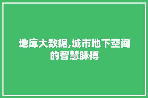 地库大数据,城市地下空间的智慧脉搏