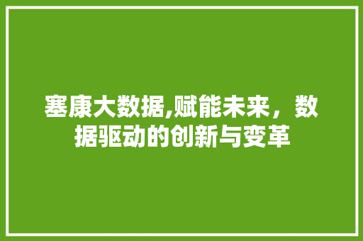 塞康大数据,赋能未来，数据驱动的创新与变革 搜狗SEO