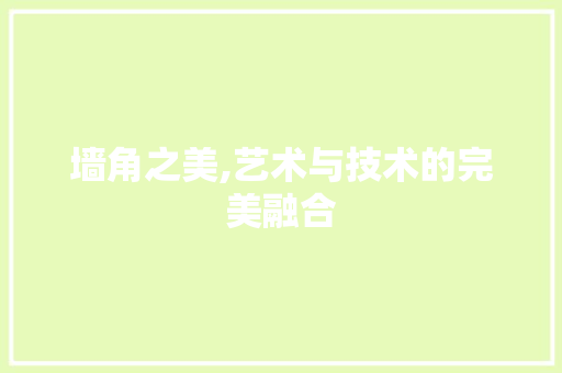 墙角之美,艺术与技术的完美融合