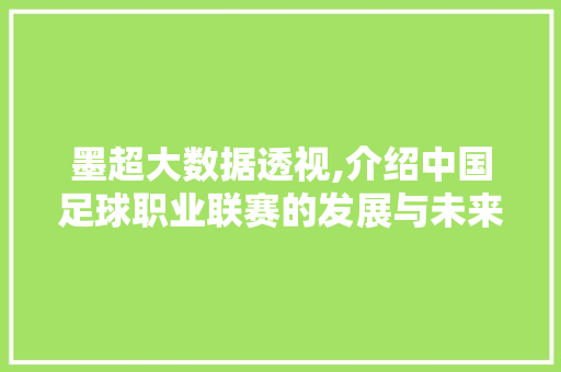 墨超大数据透视,介绍中国足球职业联赛的发展与未来 神马SEO