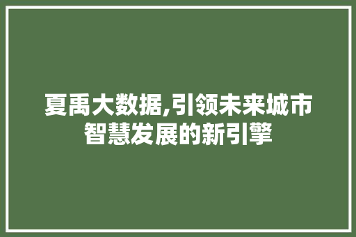 夏禹大数据,引领未来城市智慧发展的新引擎 网站建设公司