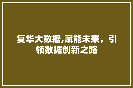 复华大数据,赋能未来，引领数据创新之路 网站建设公司
