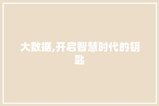 大数据,开启智慧时代的钥匙