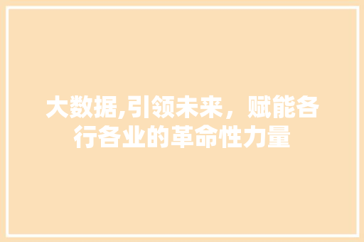 大数据,引领未来，赋能各行各业的革命性力量 必应SEO