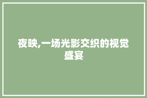 夜映,一场光影交织的视觉盛宴
