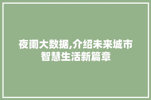 夜阑大数据,介绍未来城市智慧生活新篇章
