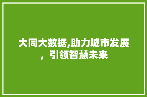 大同大数据,助力城市发展，引领智慧未来