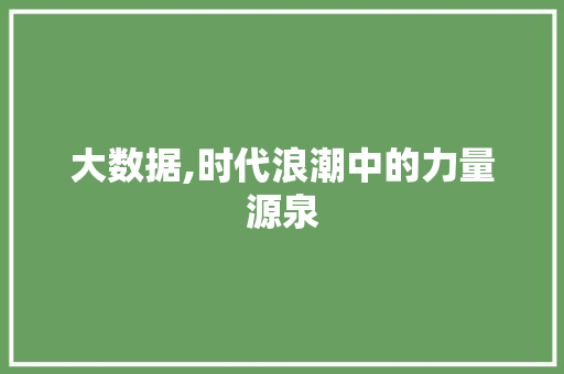 大数据,时代浪潮中的力量源泉