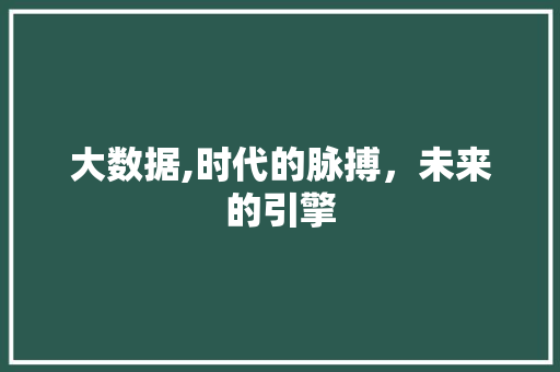 大数据,时代的脉搏，未来的引擎