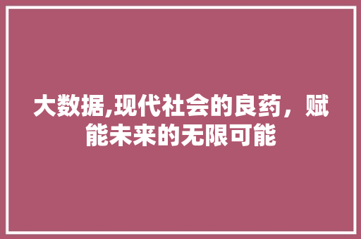 大数据,现代社会的良药，赋能未来的无限可能