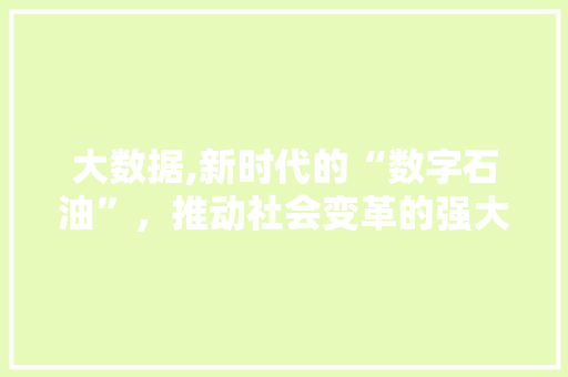 大数据,新时代的“数字石油”，推动社会变革的强大引擎 网站建设公司