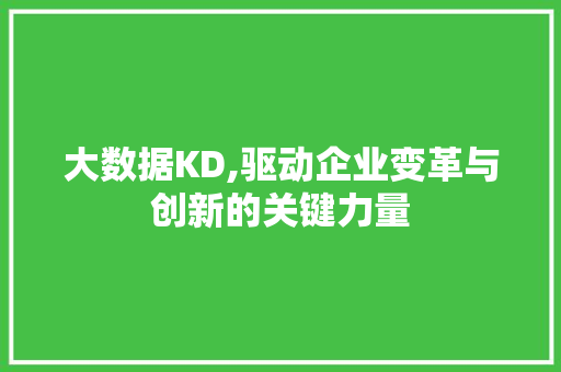 大数据KD,驱动企业变革与创新的关键力量