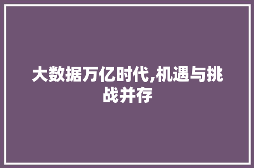 大数据万亿时代,机遇与挑战并存 神马SEO