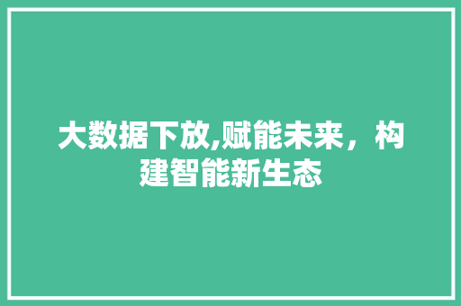 大数据下放,赋能未来，构建智能新生态